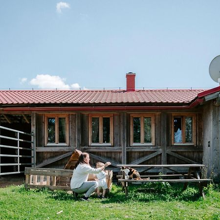 Ubytování na Ranči pod Lovošem Velemin Exterior foto
